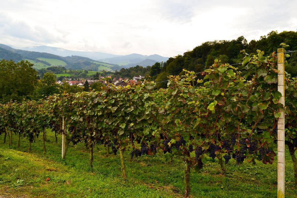 Landgasthof mit Gästezimmer Frohe Einkehr Merzhausen Exterior foto